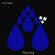 Planting Dogwood